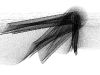 infoblah_lia_re-move5