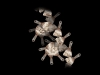 infoblah_nicolasclauss_spirale